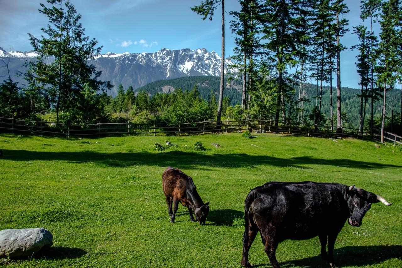 Sweetwater Lane Farm Villa Mount Currie Eksteriør billede