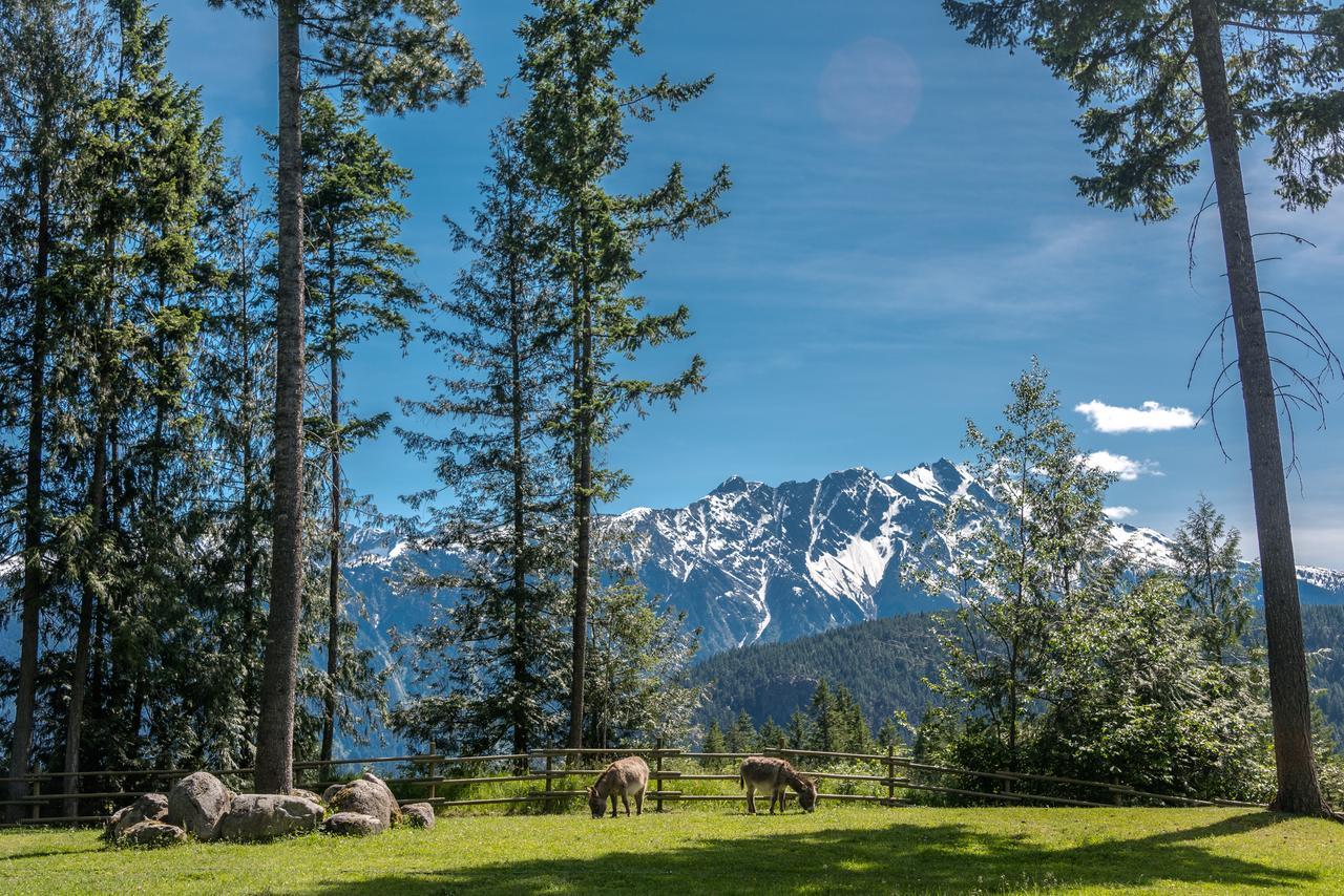 Sweetwater Lane Farm Villa Mount Currie Eksteriør billede