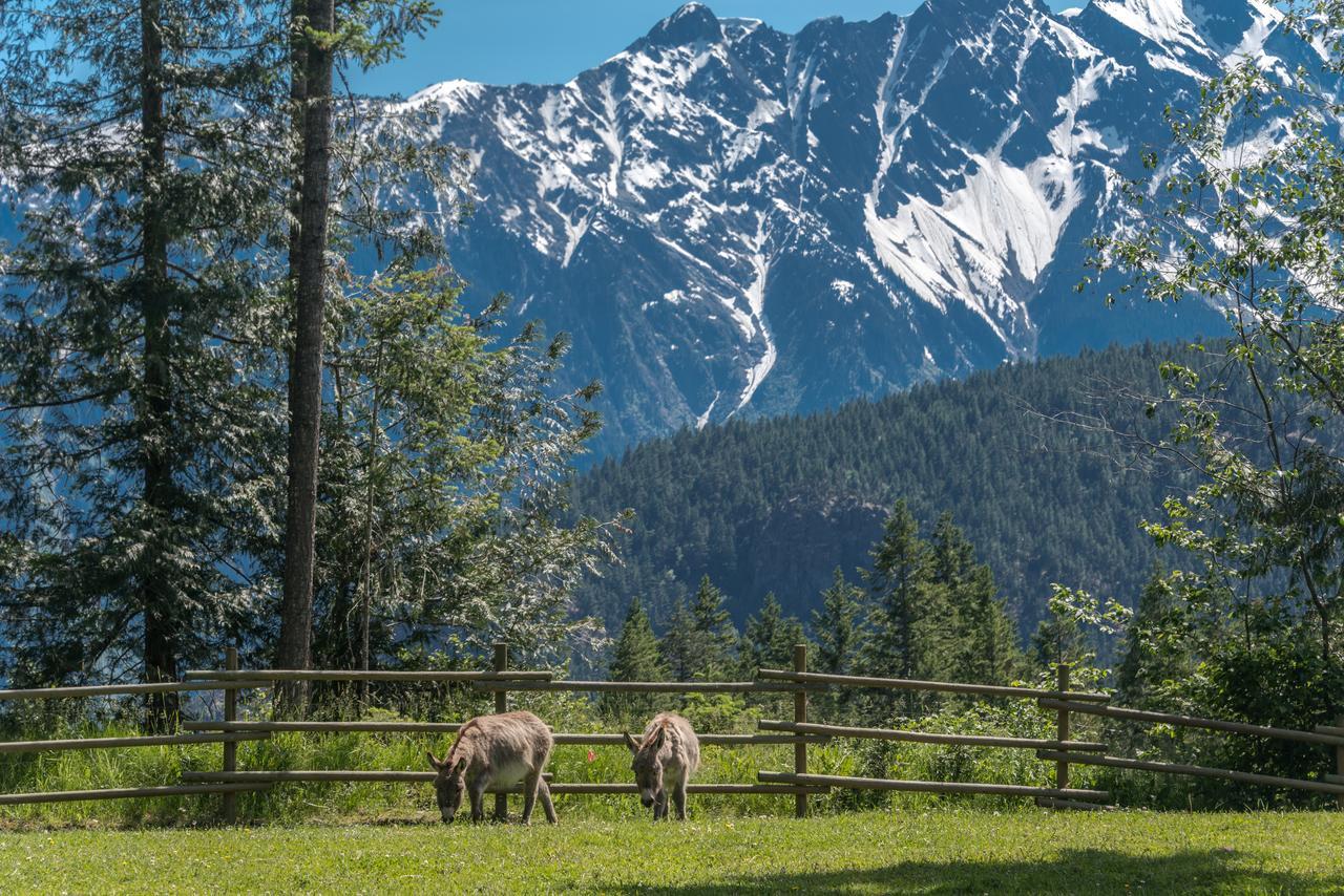 Sweetwater Lane Farm Villa Mount Currie Eksteriør billede