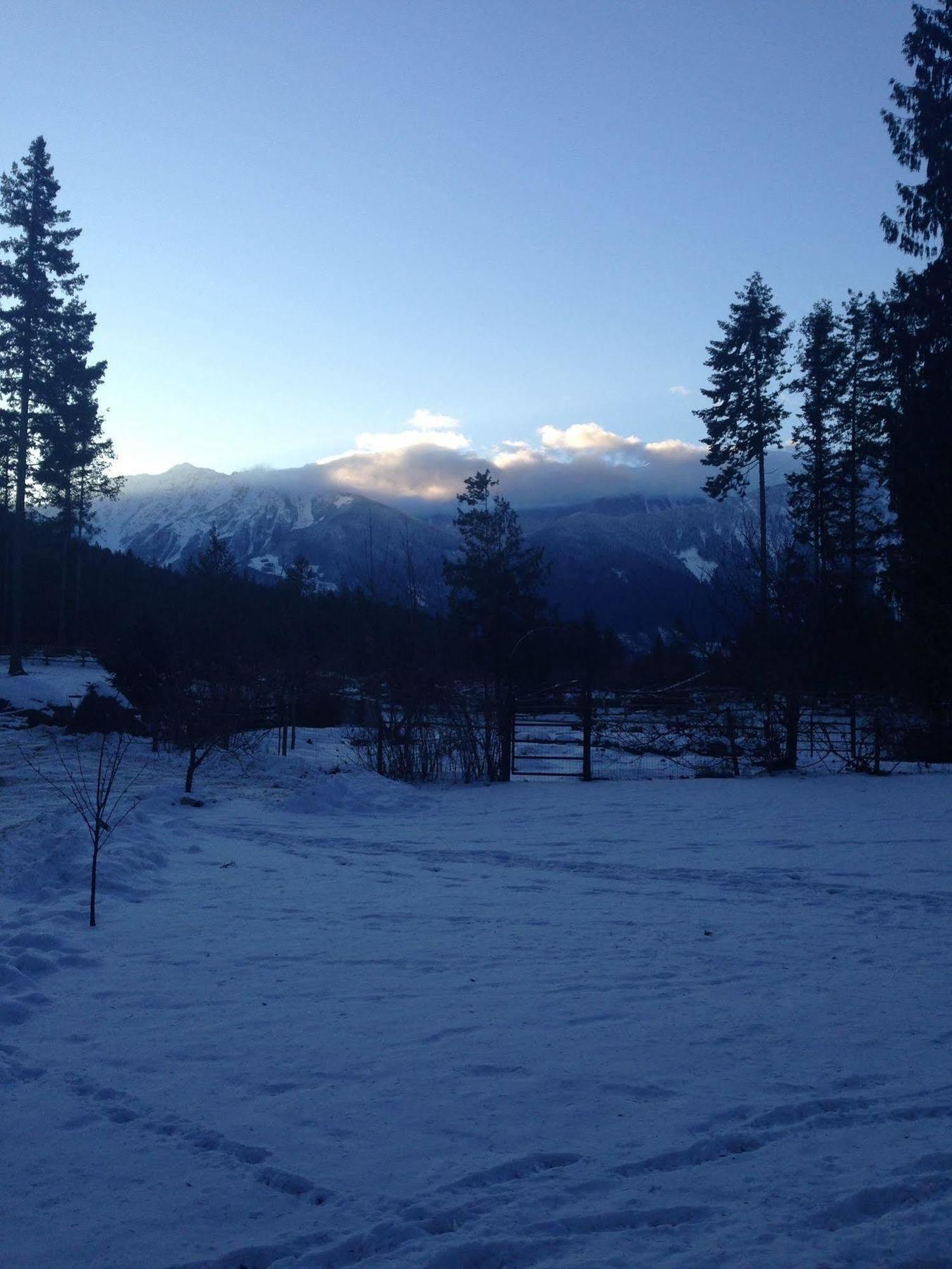 Sweetwater Lane Farm Villa Mount Currie Eksteriør billede
